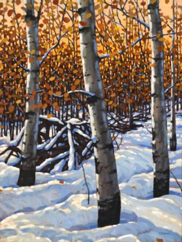 Fall Aspens, 48x36, oil, SOLD