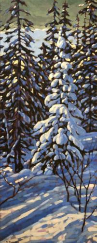 Snow Covered Spruce, 40x16, oil, Webster Gallery Calgary