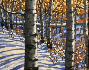 Aspens, oil, 16x20,$1150