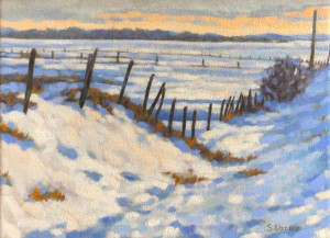 Springbank Snow, o/c, 12x16, SOLD