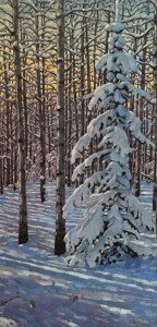 Snow Covered Spruce, 48x24, oil, SOLD