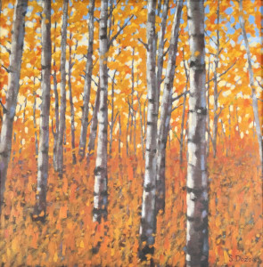 Fall Aspen Forest, oil,24x24, SOLD