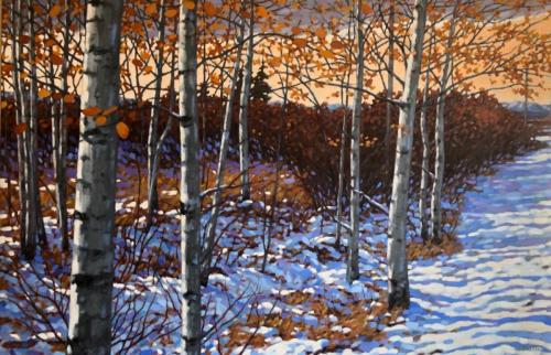 Aspens, oil, 36x48, SOLD