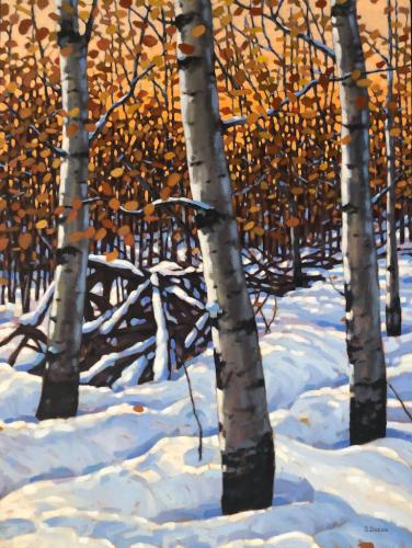 Fall Aspens, oil, 40x30, SOLD