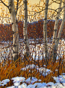 Winter Aspens, oil, 40x30, SOLD