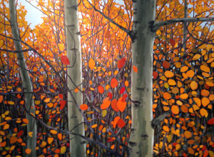 Fall Aspens, oil, 36x48, SOLD