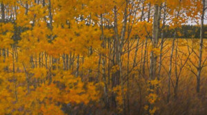 Autumn, oil, 30x48, SOLD